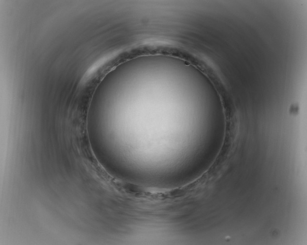 X0000114630919200910201416