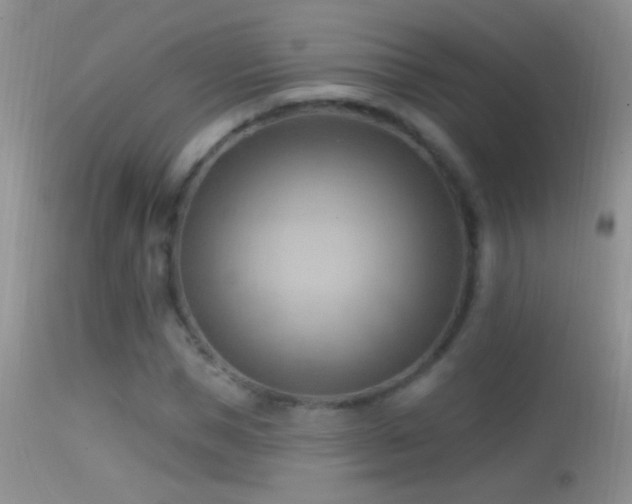 X0000114630921200910201416