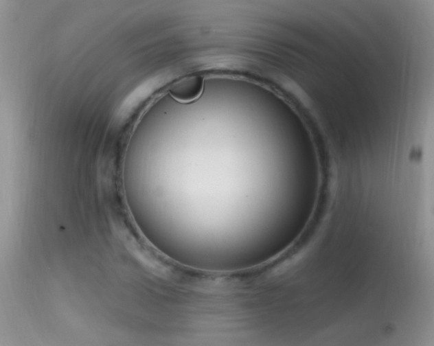 X0000114630922200910201416