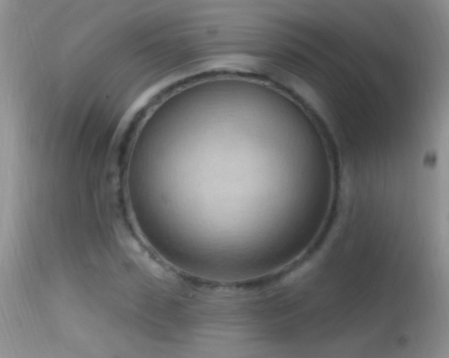 X0000114630923200910201416