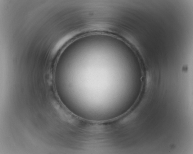 X0000114630925200910201416