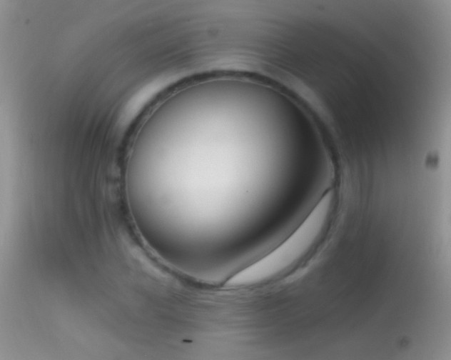 X0000114630926200910201416