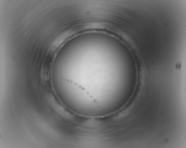 X0000114630929200910201416