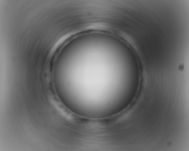 X0000114630931200910201416