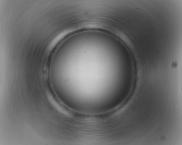 X0000114630934200910201416