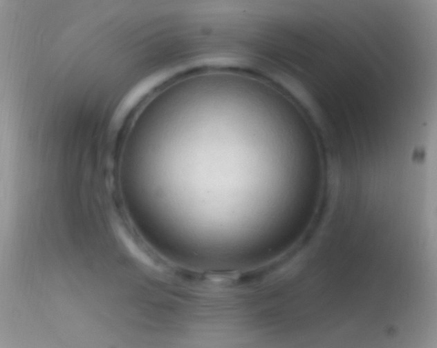 X0000114630935200910201416