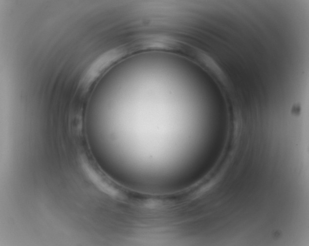 X0000114630938200910201416