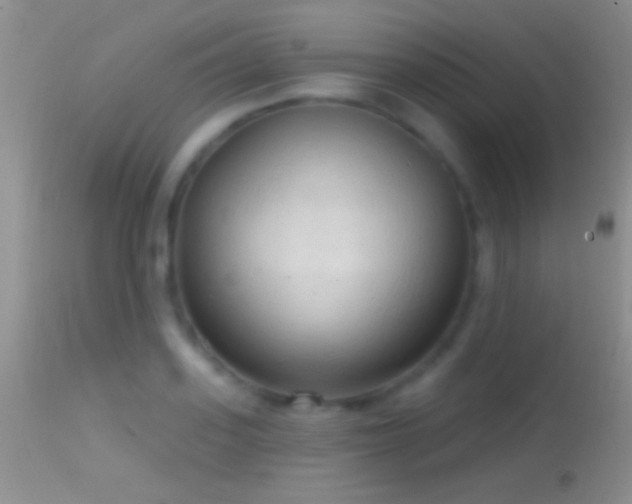 X0000114630939200910201416