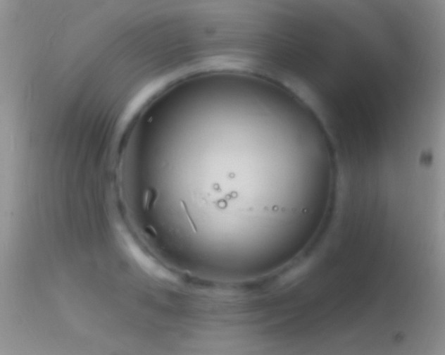 X0000114630941200910201417