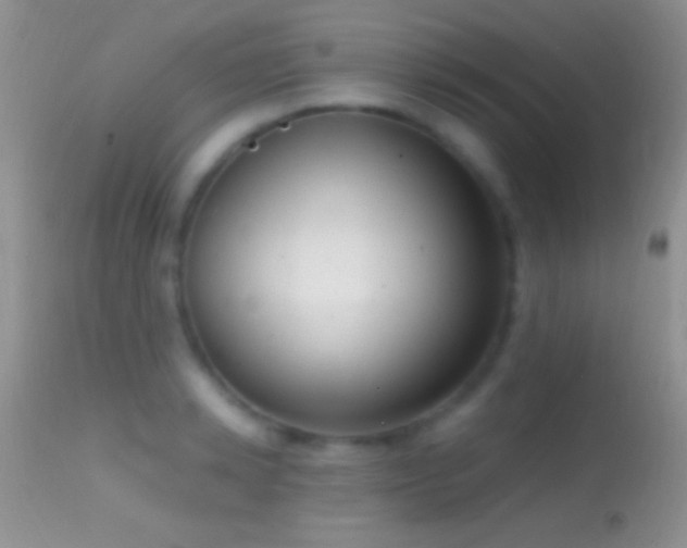 X0000114630942200910201417