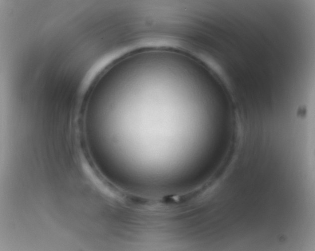 X0000114630943200910201417