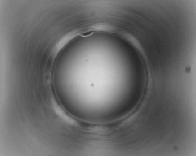 X0000114630946200910201417