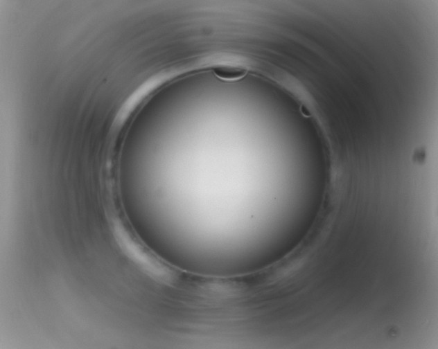 X0000114630947200910201417