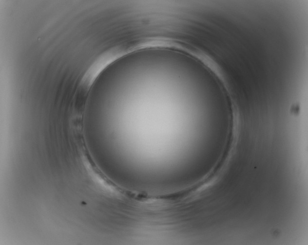 X0000114630953200910201417