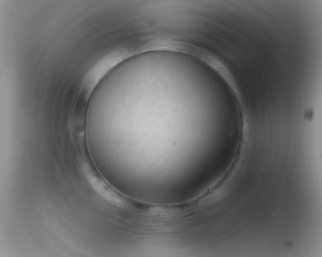 X0000114630954200910201417