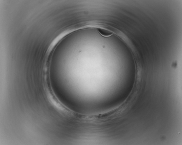 X0000114630955200910201417