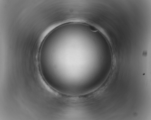 X0000114630959200910201417