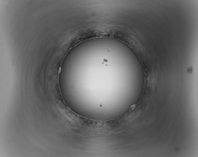 X0000114630961200910201416