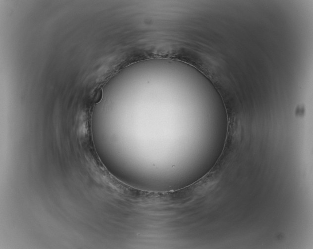 X0000114630962200910201416