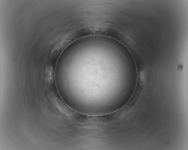 X0000114630963200910201416