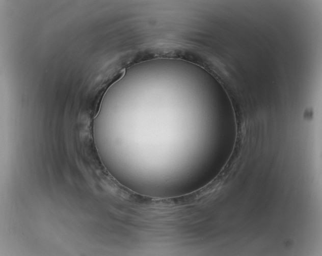 X0000114630964200910201416