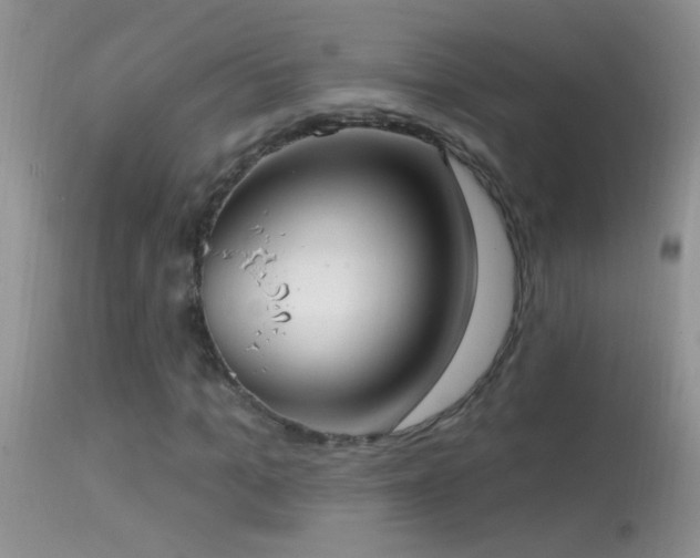 X0000114630965200910201416