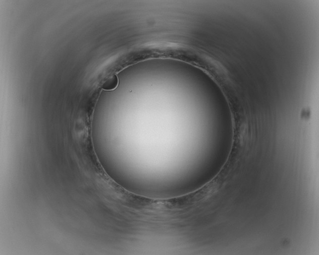 X0000114630966200910201416