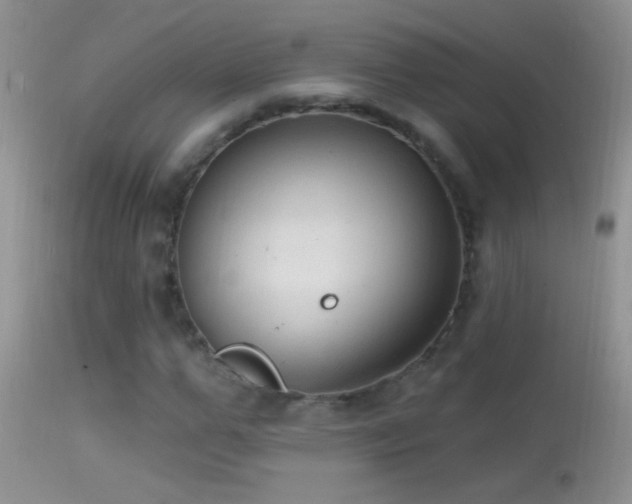 X0000114630967200910201416