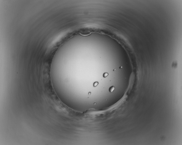 X0000114630968200910201416