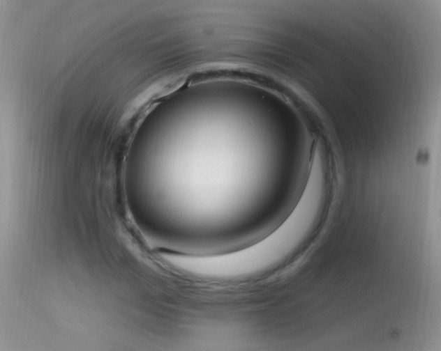 X0000114630969200910201416