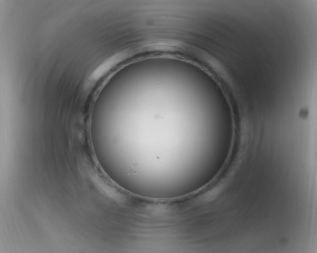 X0000114630970200910201416