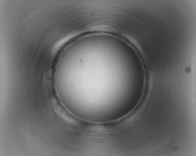 X0000114630971200910201416