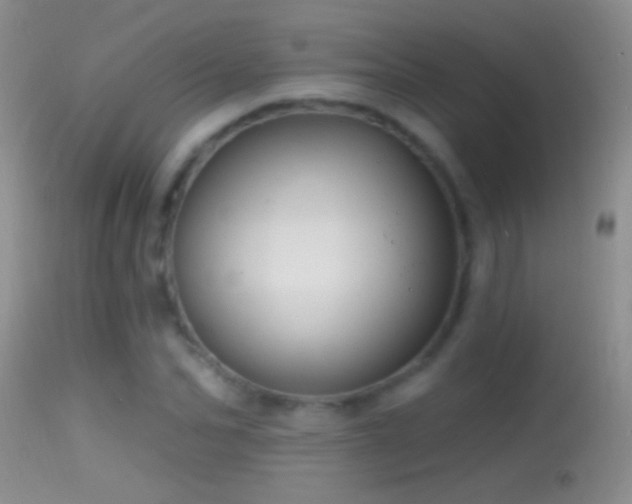 X0000114630974200910201416