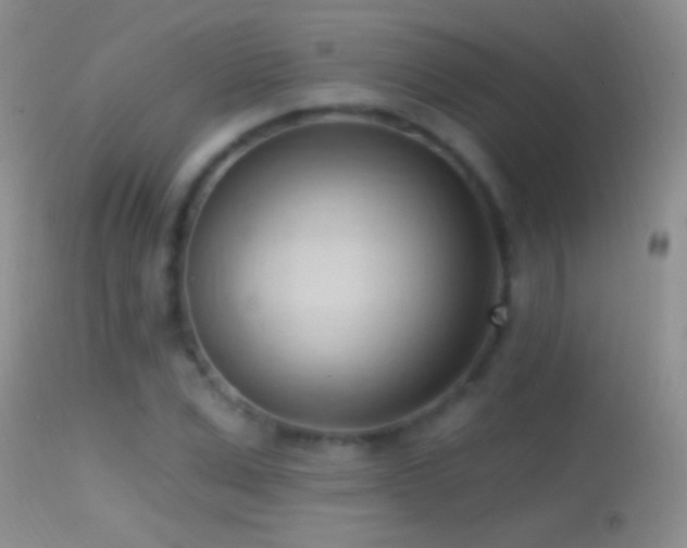 X0000114630975200910201416