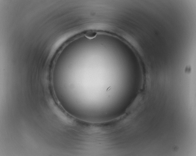 X0000114630976200910201416