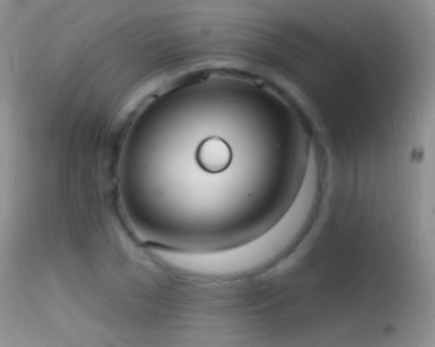 X0000114630977200910201416