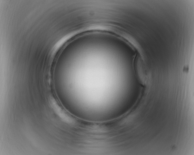 X0000114630980200910201416