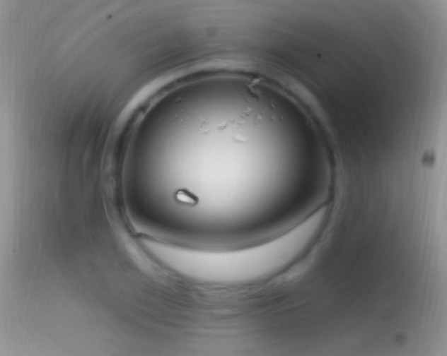 X0000114630981200910201416