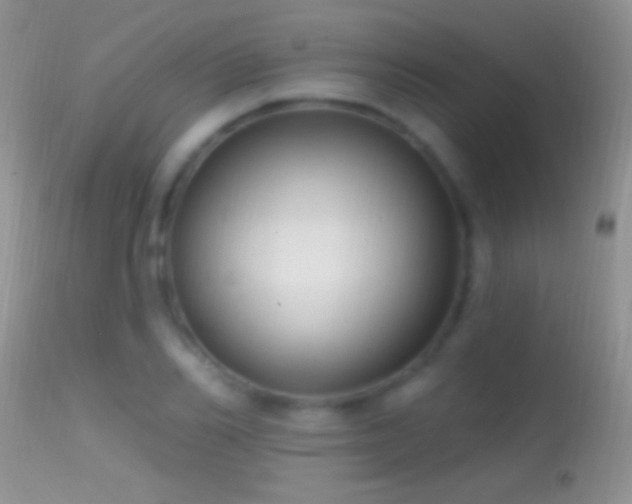 X0000114630982200910201416