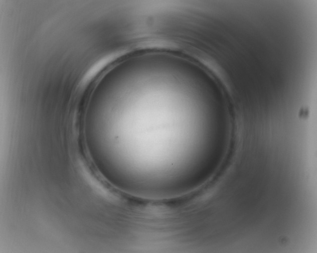 X0000114630983200910201416