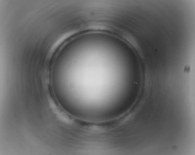 X0000114630984200910201416