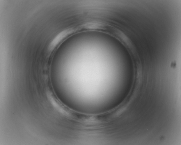 X0000114630986200910201416