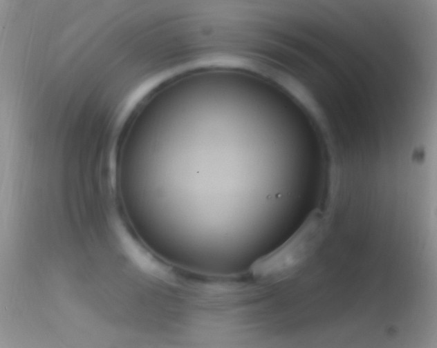 X0000114630988200910201416