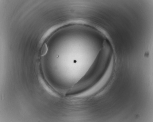 X0000114630989200910201416