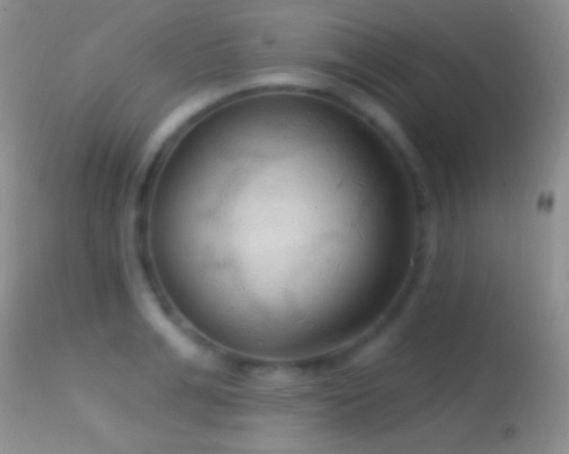 X0000114630991200910201416