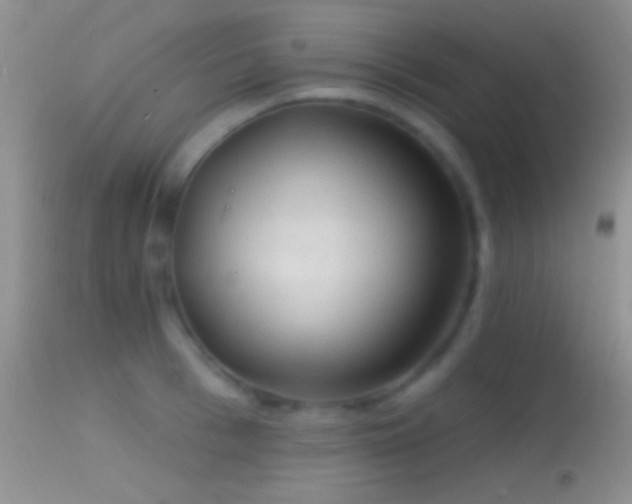 X0000114630993200910201416