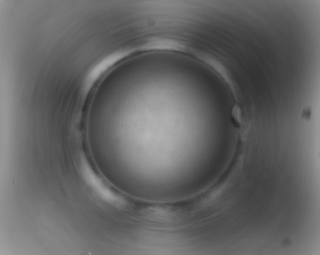 X0000114630995200910201416