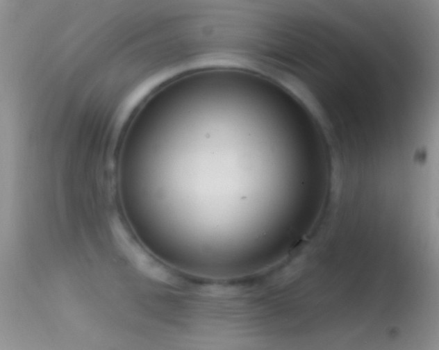 X0000114630996200910201416