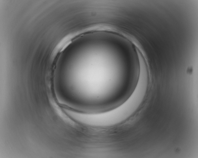 X0000114630997200910201416