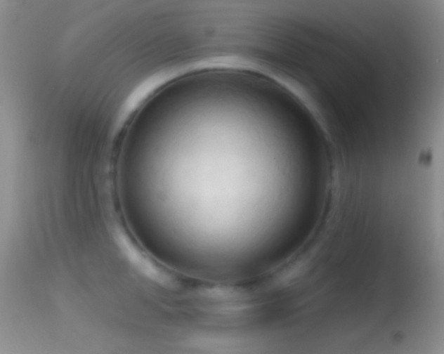 X0000114630998200910201416